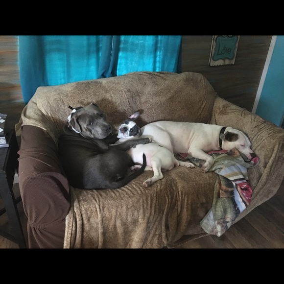 Meet your Posher, Jessica - Picture 13 of 16